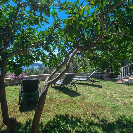 Apartment Mario - Veliki Stan Za Odmor - Terasa- Vrt - Bazen - Pogled More, Izoliran Orasac Buitenkant foto